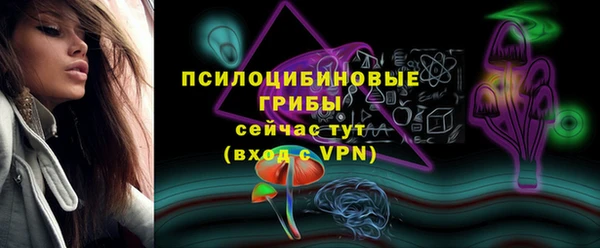 дживик Армянск