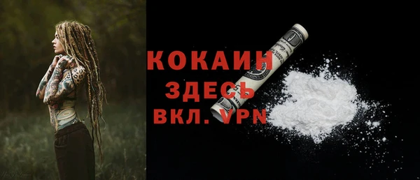 СК Арсеньев